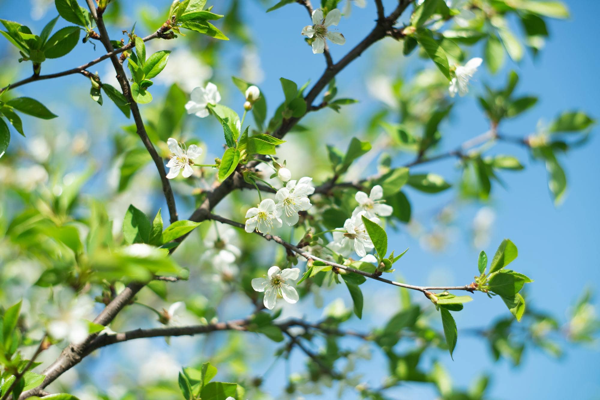 Kom maar op met die zon in huis!